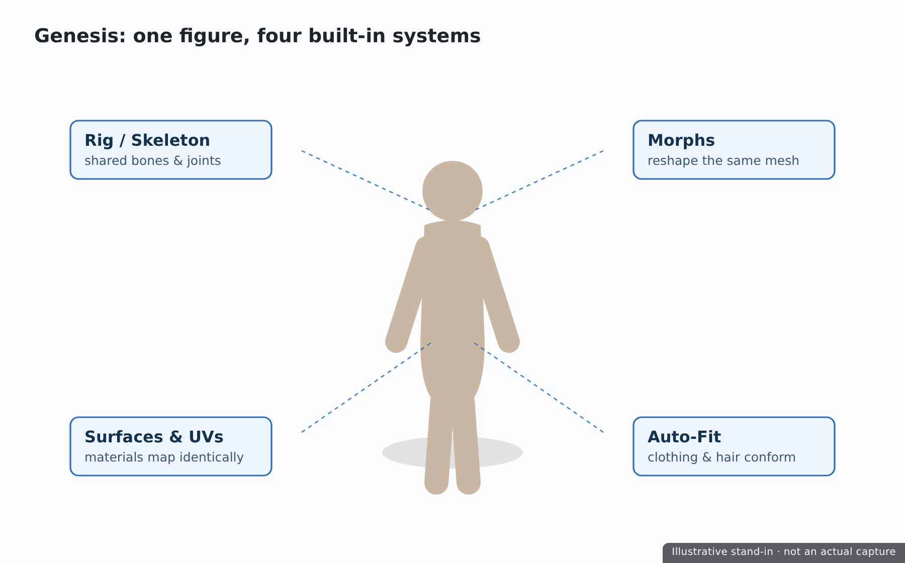 Diagram of a Genesis figure showing its rig, morphs, surfaces, and auto-fit compatibility